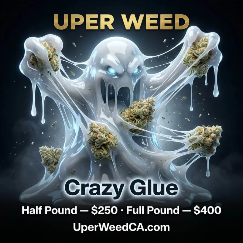 Crazy Glue sticky forest-green cannabis buds with heavy trichomes 2