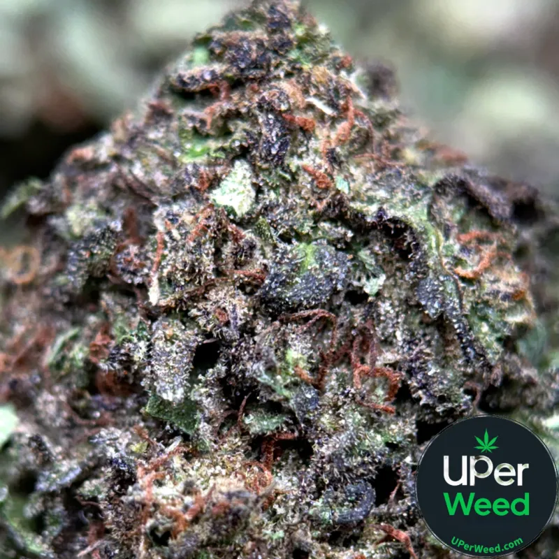 Dense crystalline Death Star indica cannabis buds 1