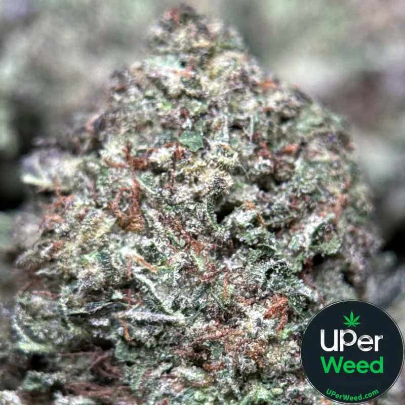 Dense crystalline Death Star indica cannabis buds 7