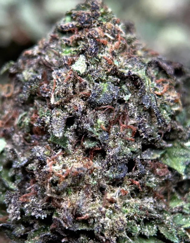 Dense crystalline Death Star indica cannabis buds 8