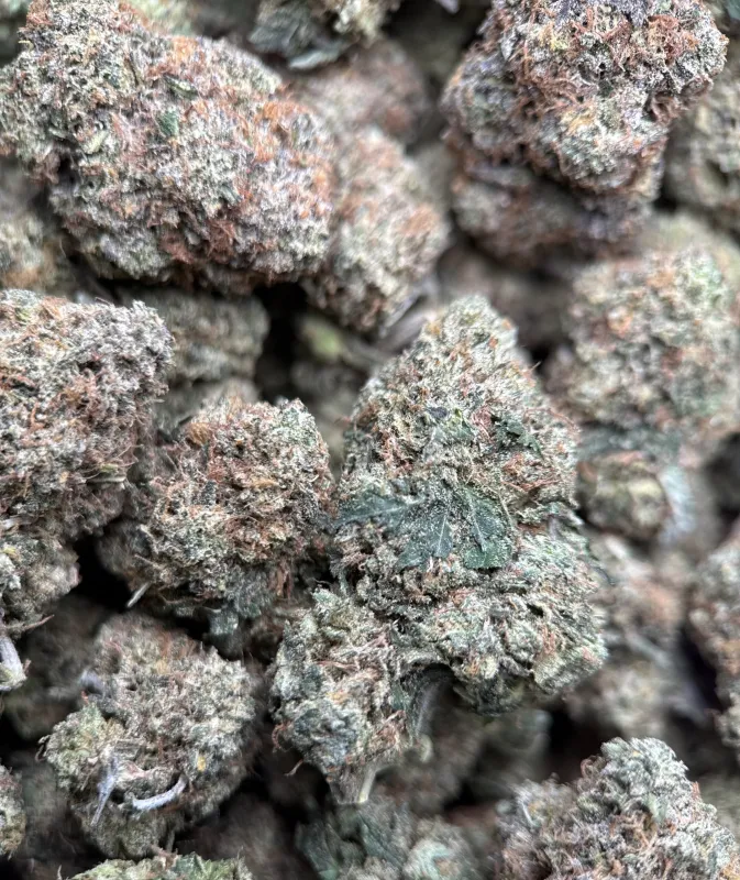 Death Under OG indica cannabis flower 4