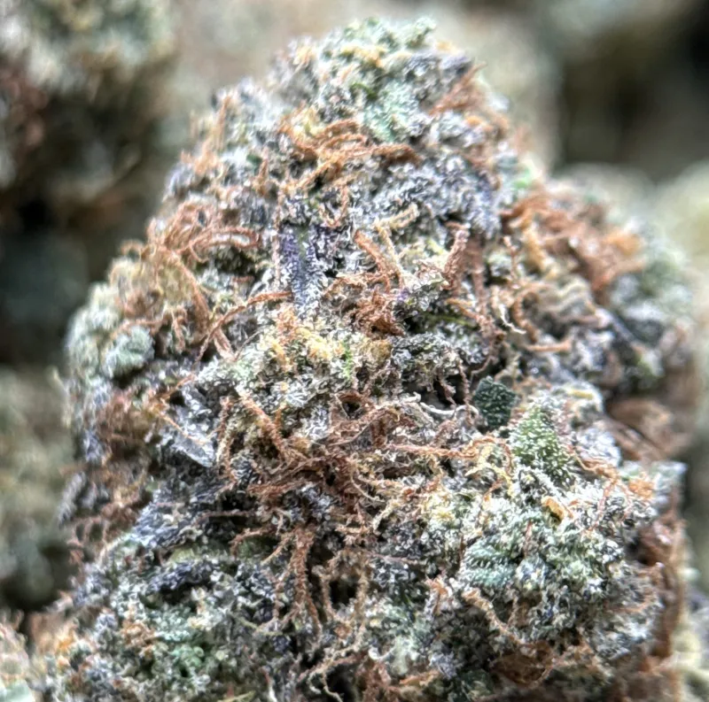 Death Under OG indica cannabis flower 6