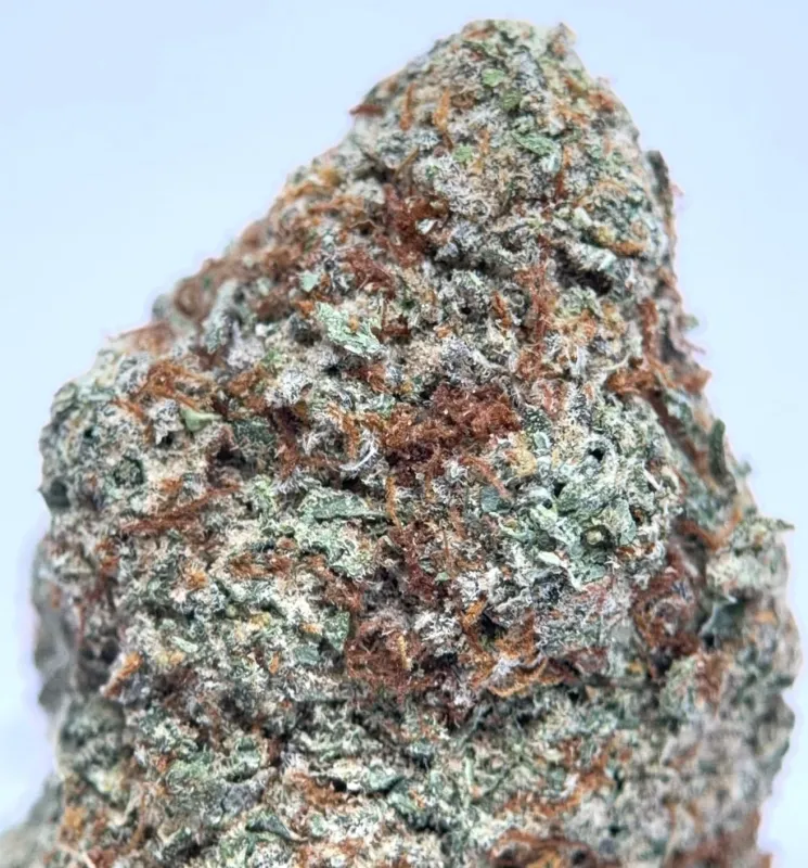 Olive-green Death Walker OG buds with amber pistils and frosted trichomes 4
