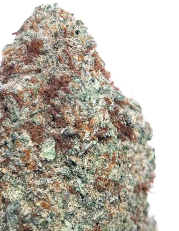 Olive-green Death Walker OG buds with amber pistils and frosted trichomes 5