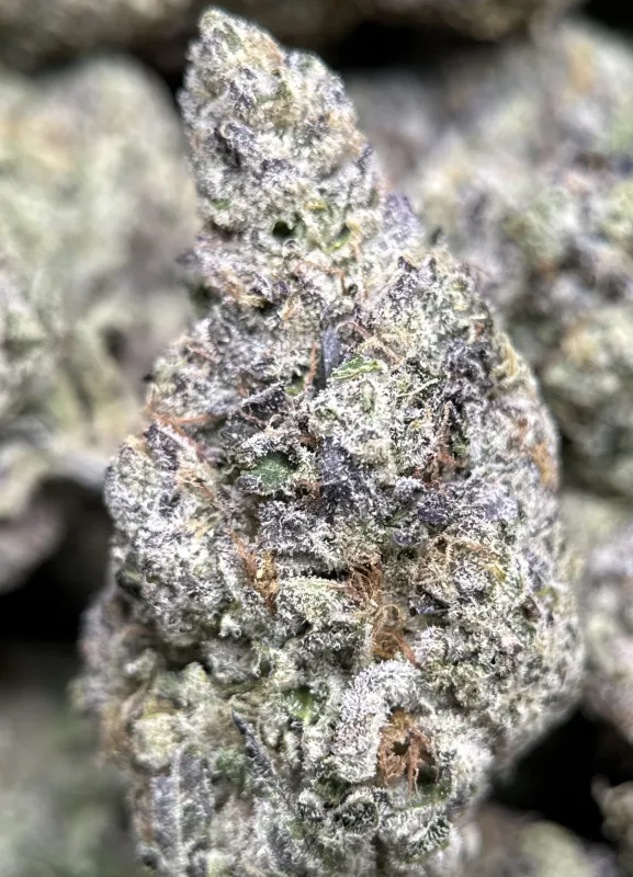 Dessert Runtz indica cannabis flower 2