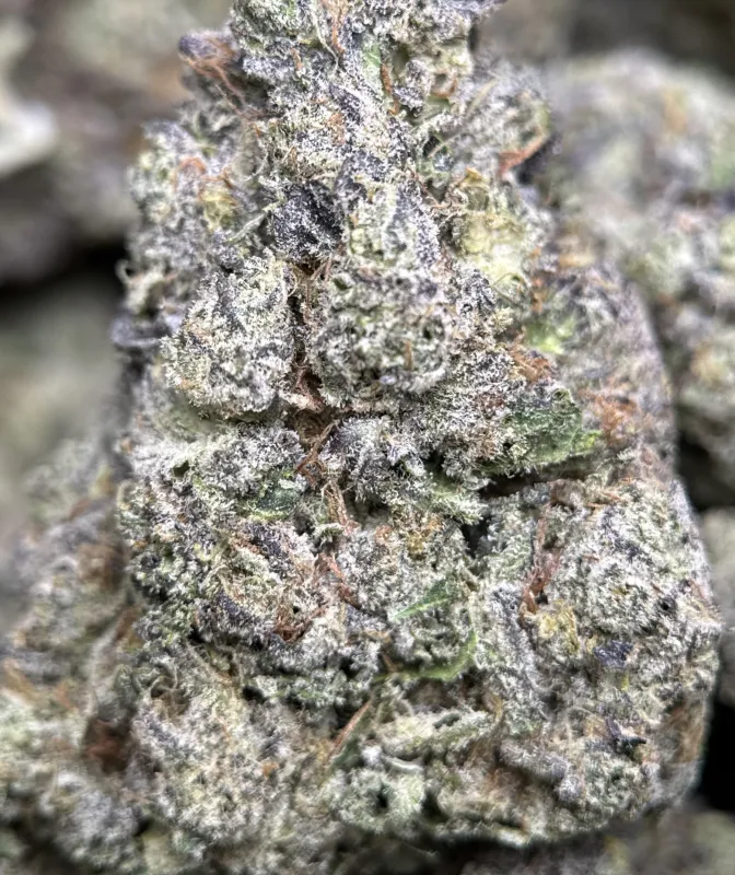 Dessert Runtz indica cannabis flower 3