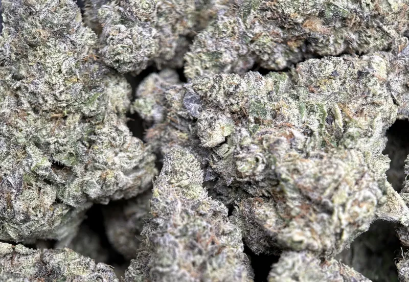 Dessert Runtz indica cannabis flower 6
