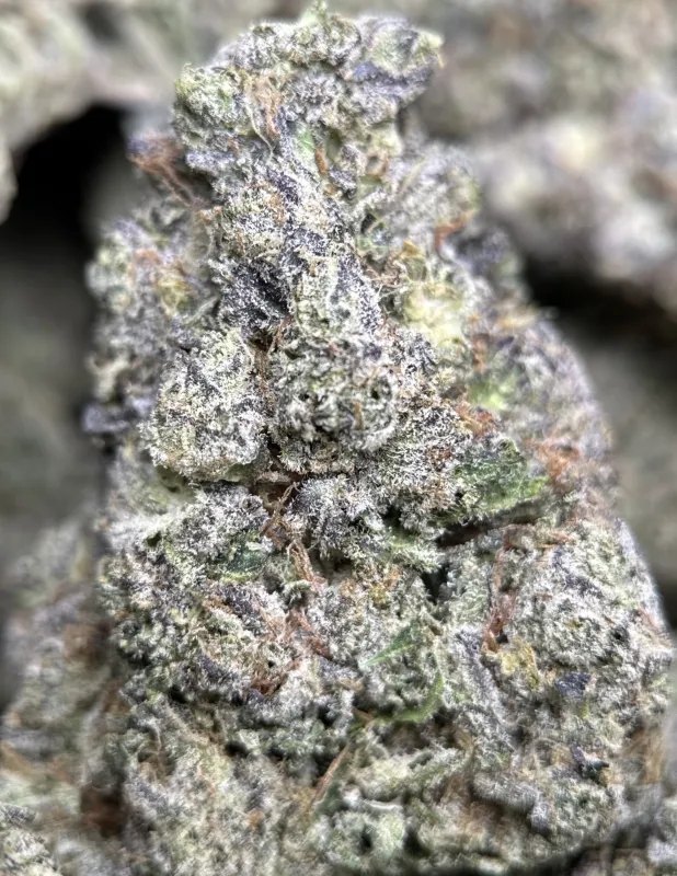 Dessert Runtz indica cannabis flower 7