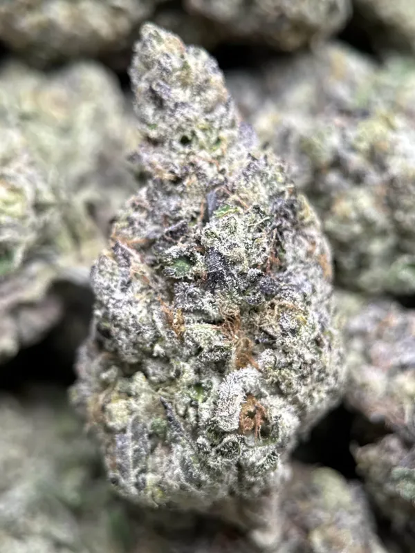 Dessert Runtz indica cannabis flower 8