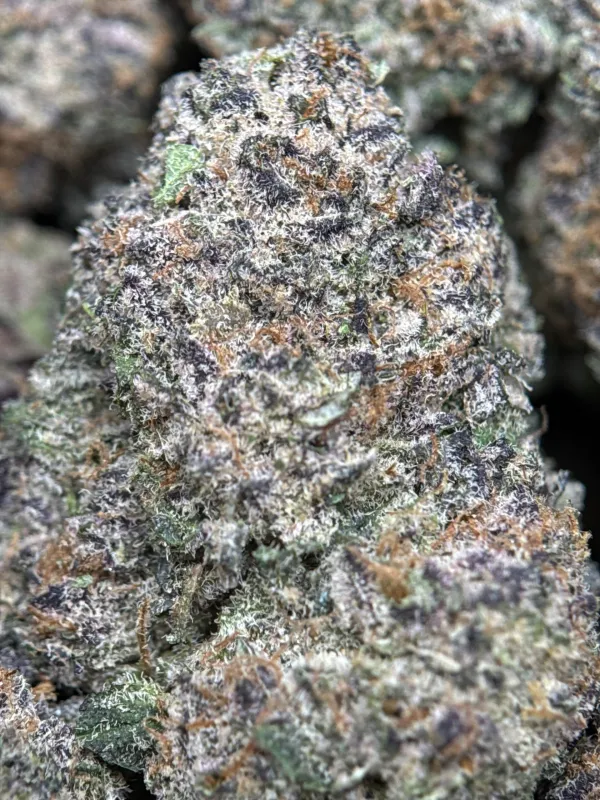Dense green Dynamite Diesel buds with orange hairs and frost 10