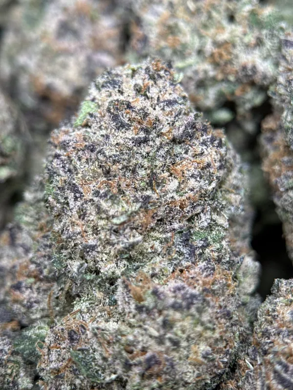 Dense green Dynamite Diesel buds with orange hairs and frost 13
