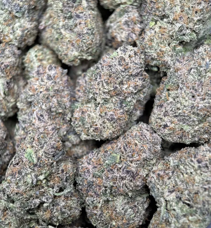 Dense green Dynamite Diesel buds with orange hairs and frost 3