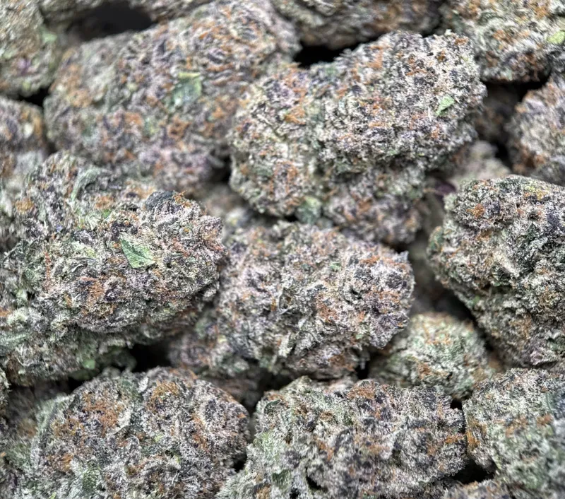Dense green Dynamite Diesel buds with orange hairs and frost 6