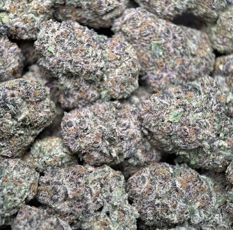 Dense green Dynamite Diesel buds with orange hairs and frost 8