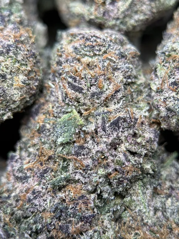 Dense green Dynamite Diesel buds with orange hairs and frost 9