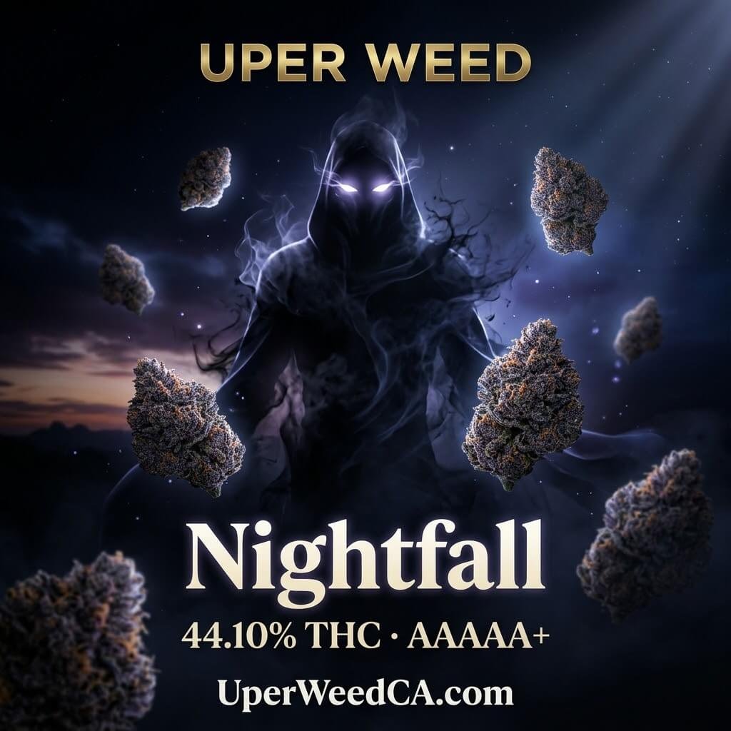 Purple Nightfall hybrid cannabis buds with orange pistils and frost 2
