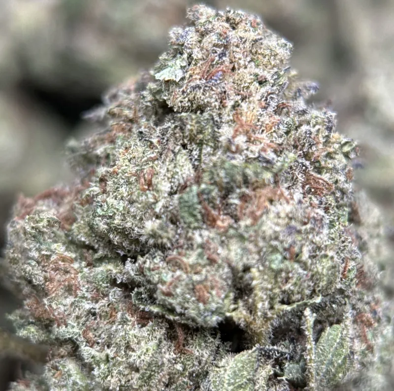 First Class Gas indica-dominant cannabis flower 3