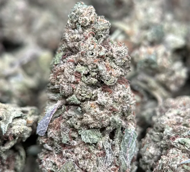 First Class Gas indica-dominant cannabis flower 6