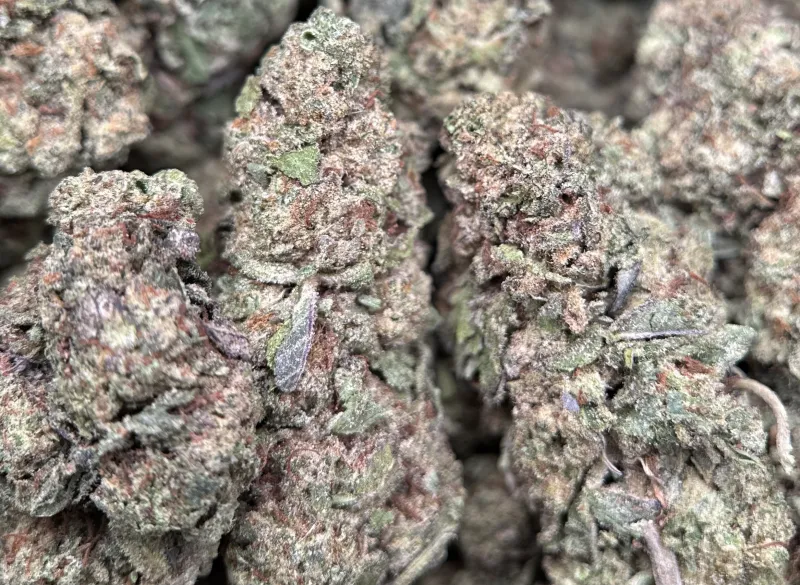First Class Gas indica-dominant cannabis flower 8