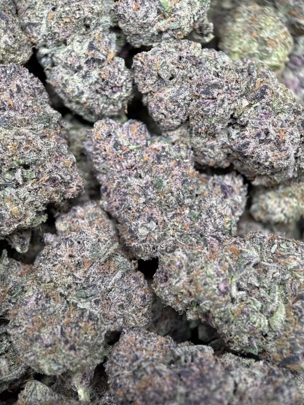 Forest-green Forbidden Diesel Cali Brick buds with purple tones and amber-white trichomes 10