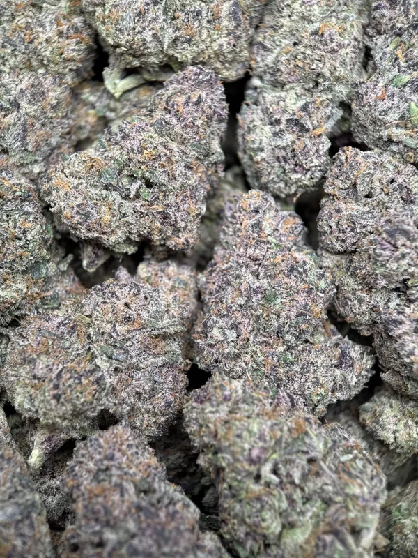 Forest-green Forbidden Diesel Cali Brick buds with purple tones and amber-white trichomes 11