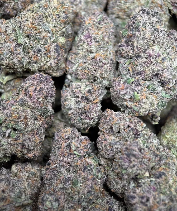 Forest-green Forbidden Diesel Cali Brick buds with purple tones and amber-white trichomes 12