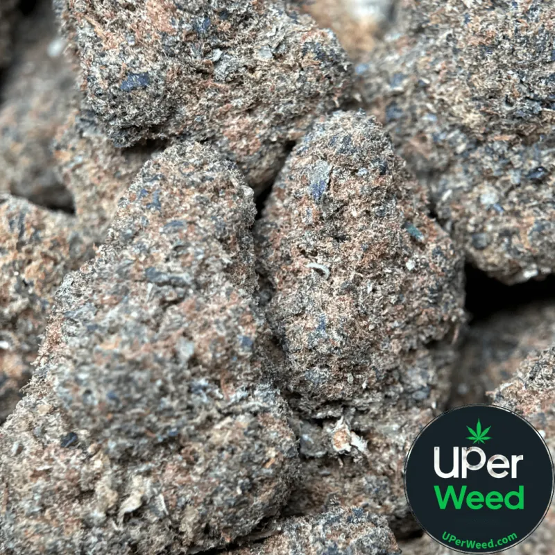 Frozen Grapes dense sticky buds with golden-amber trichomes 1