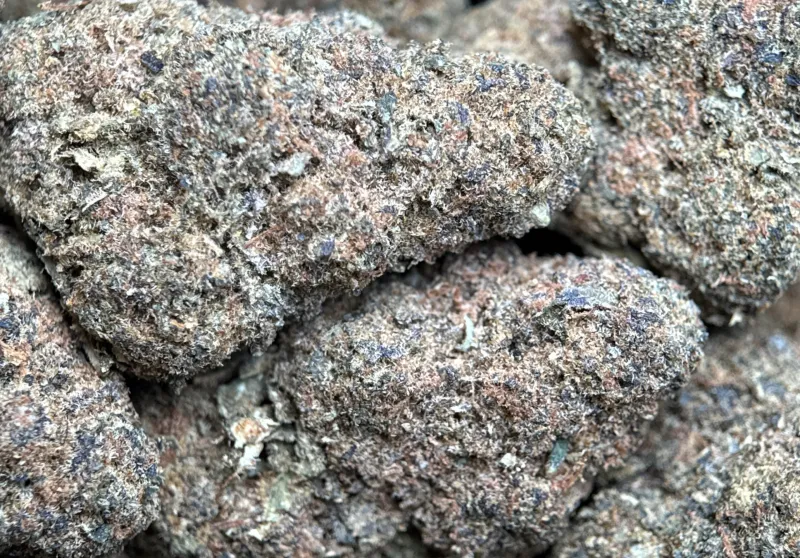 Frozen Grapes dense sticky buds with golden-amber trichomes 4