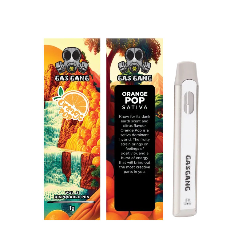Beach-themed Pineapple Gas Gang 1g disposable pen package labelled Indica 30