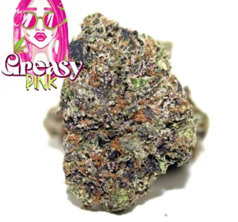 Greasy Pink