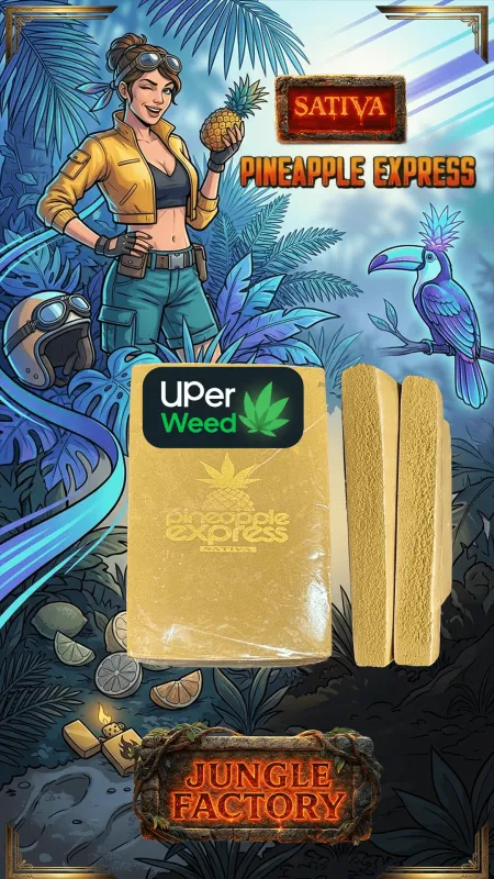 Tan Hardcore Gelato Hash block and two cut bars with neon ice-cream Indica artwork 9