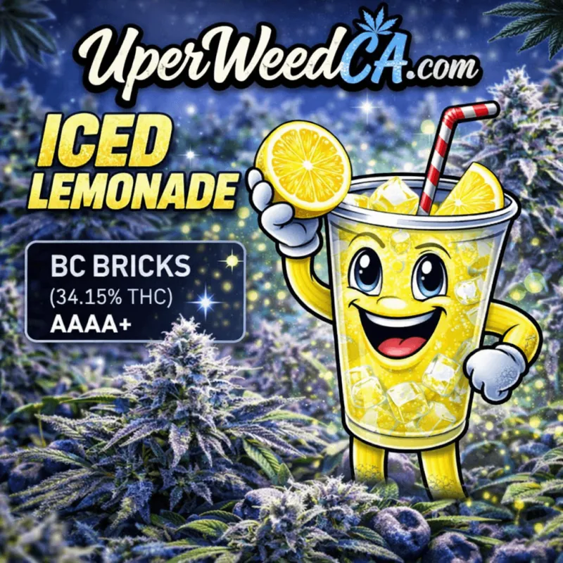Iced Lemonade