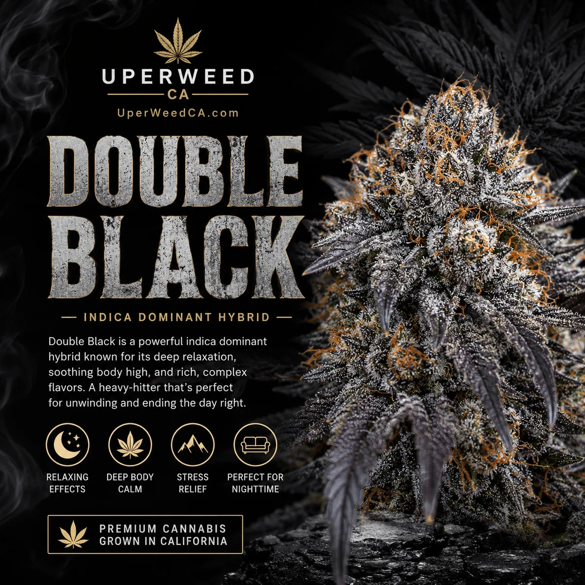 Double Black