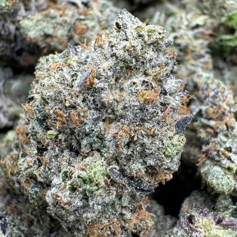 Gas Cream Cake