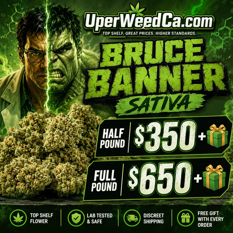 Bruce Banner