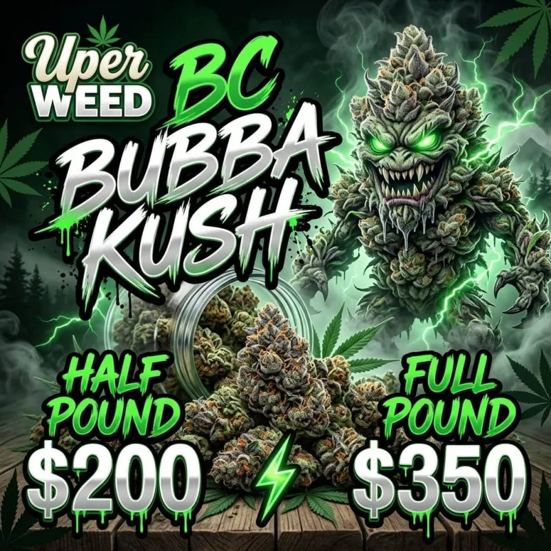 BC Bubba Kush dense resinous trichome-covered cannabis buds