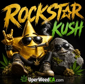 BC Rockstar Kush
