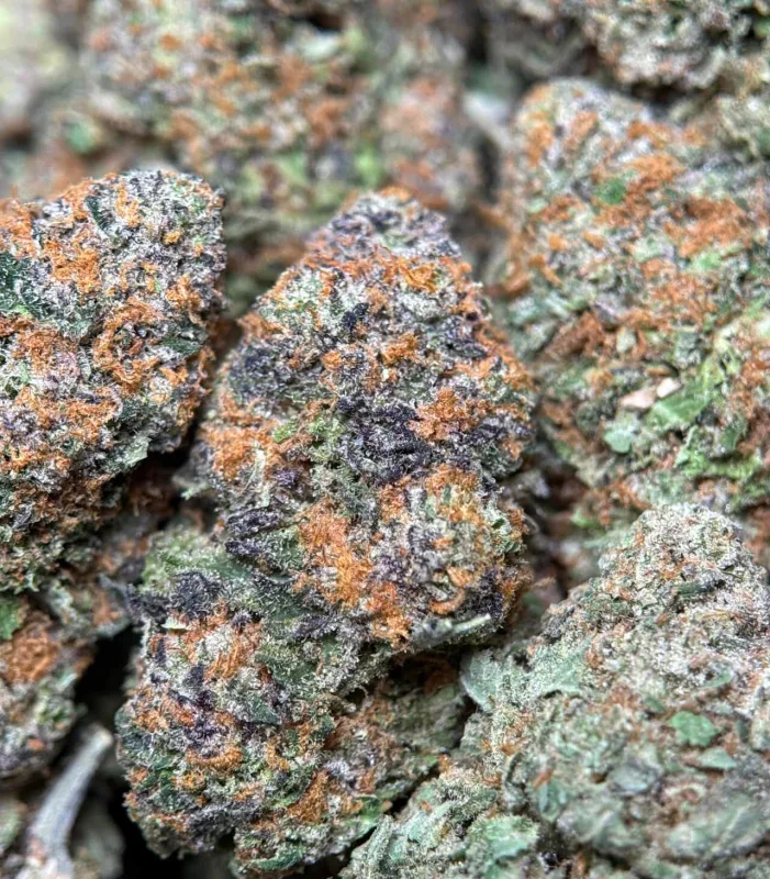 Alien Candy Kush frosty resin-rich cannabis buds with tropical candy profile 2