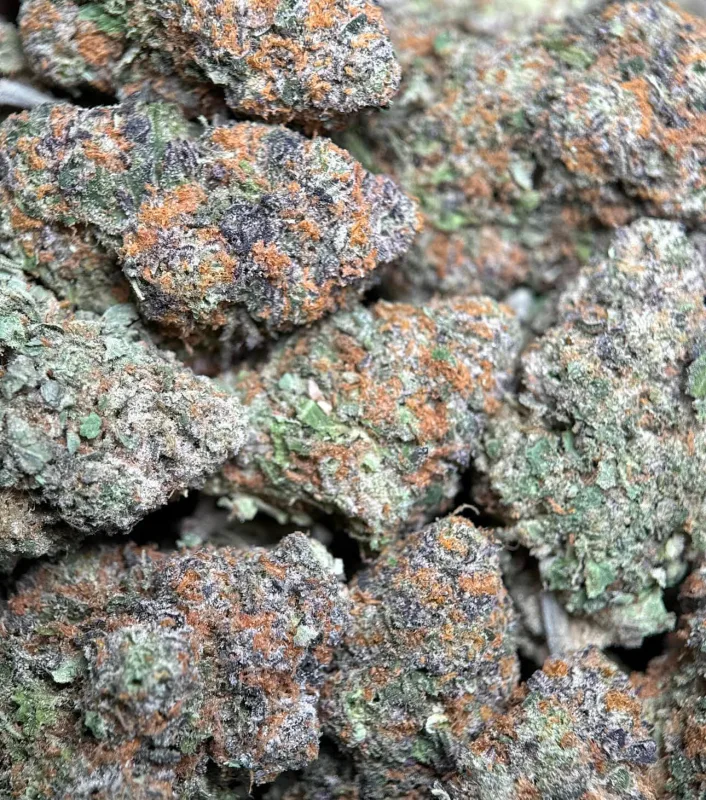 Alien Candy Kush frosty resin-rich cannabis buds with tropical candy profile 3