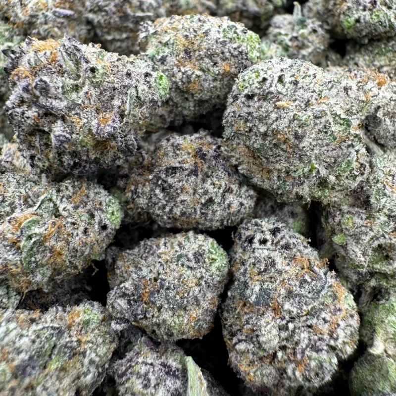 Jack Herer dense resinous cannabis buds with pine and lemon character 2