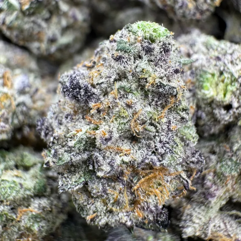 Jack Herer