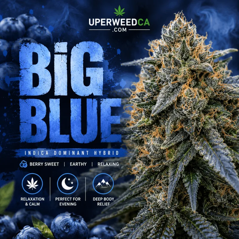 Big Blue