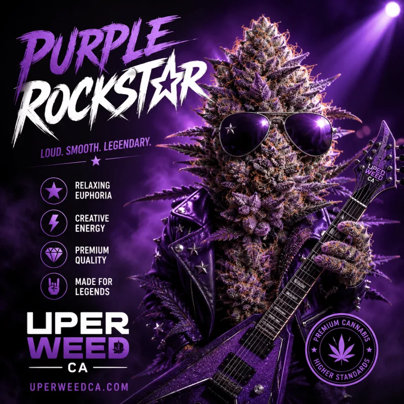 Purple Rockstar