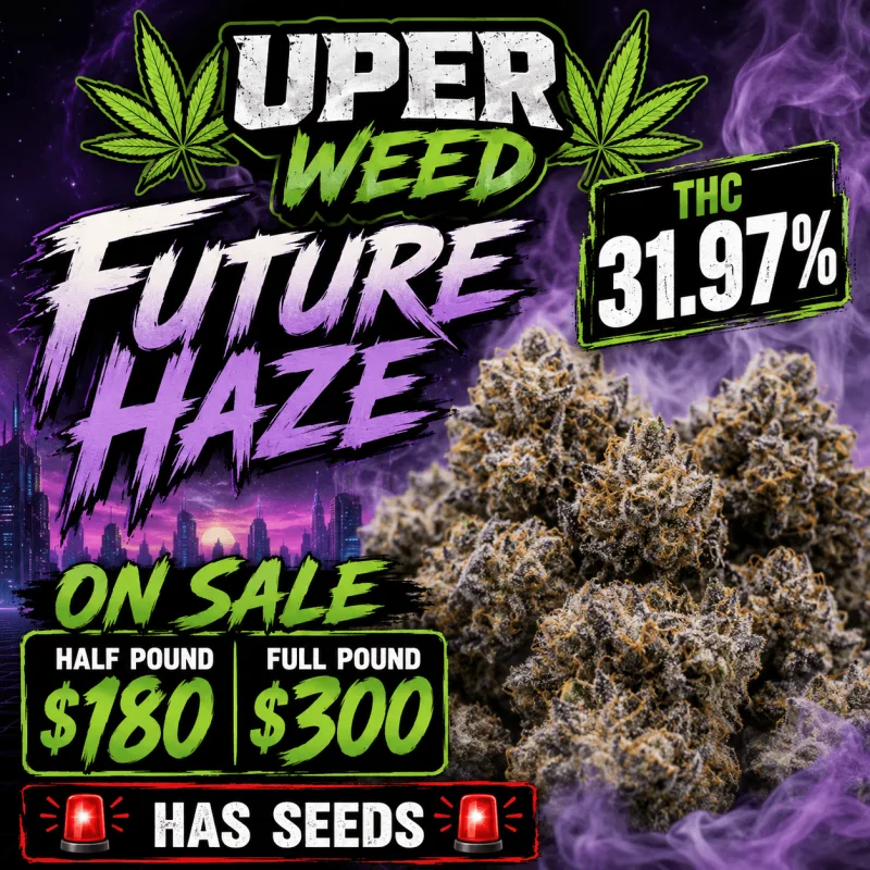 Future Haze