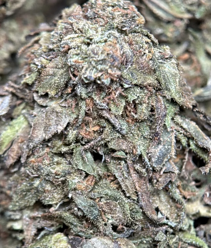 Midnight Cookies indica cannabis flower 2