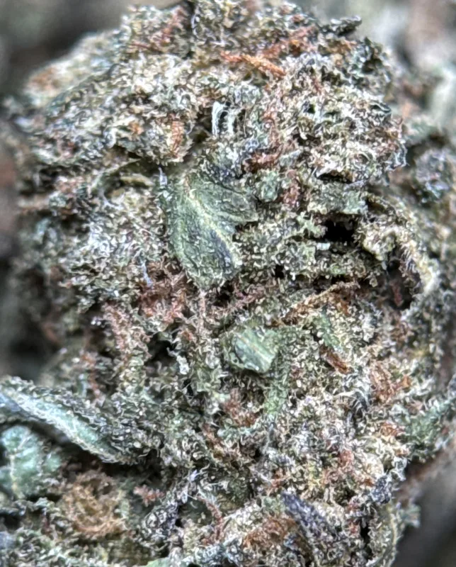 Midnight Cookies indica cannabis flower 3