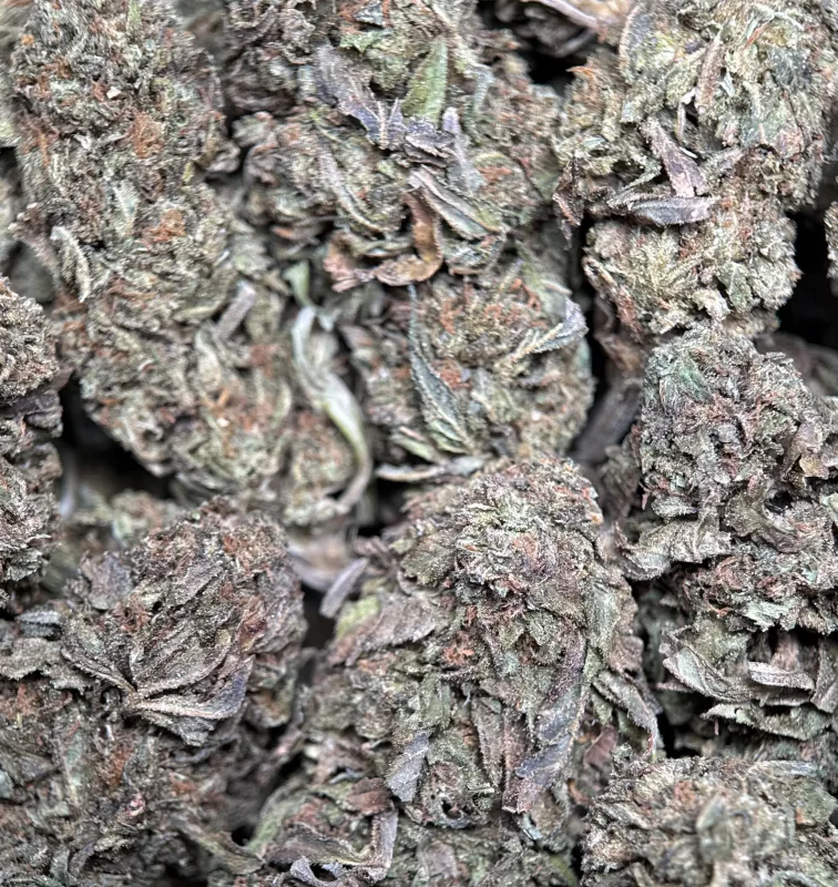 Midnight Cookies indica cannabis flower 5
