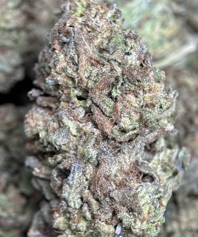 Ice Cream Cake dense purple-tinged buds with frosty trichome coverage 2