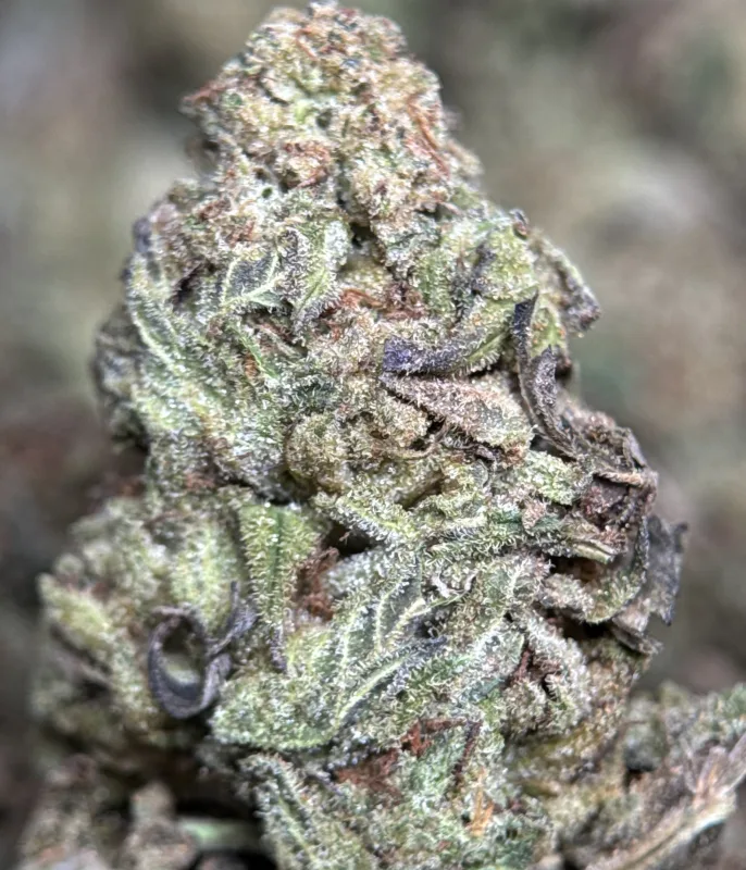 Ice Cream Cake dense purple-tinged buds with frosty trichome coverage 3