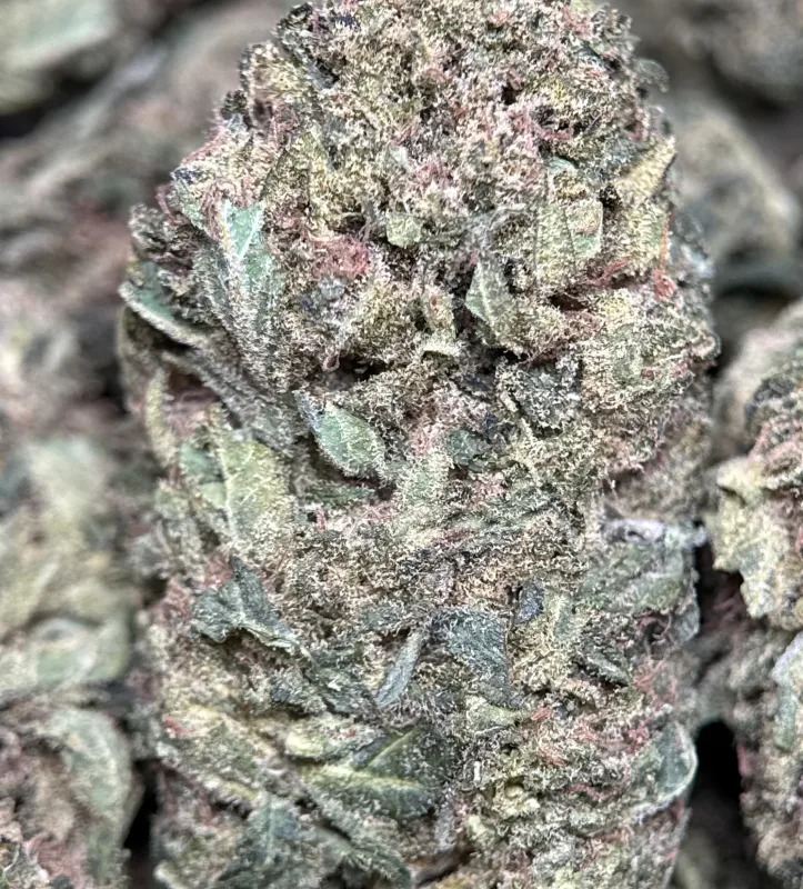 Pink Candy sativa cannabis flower 2